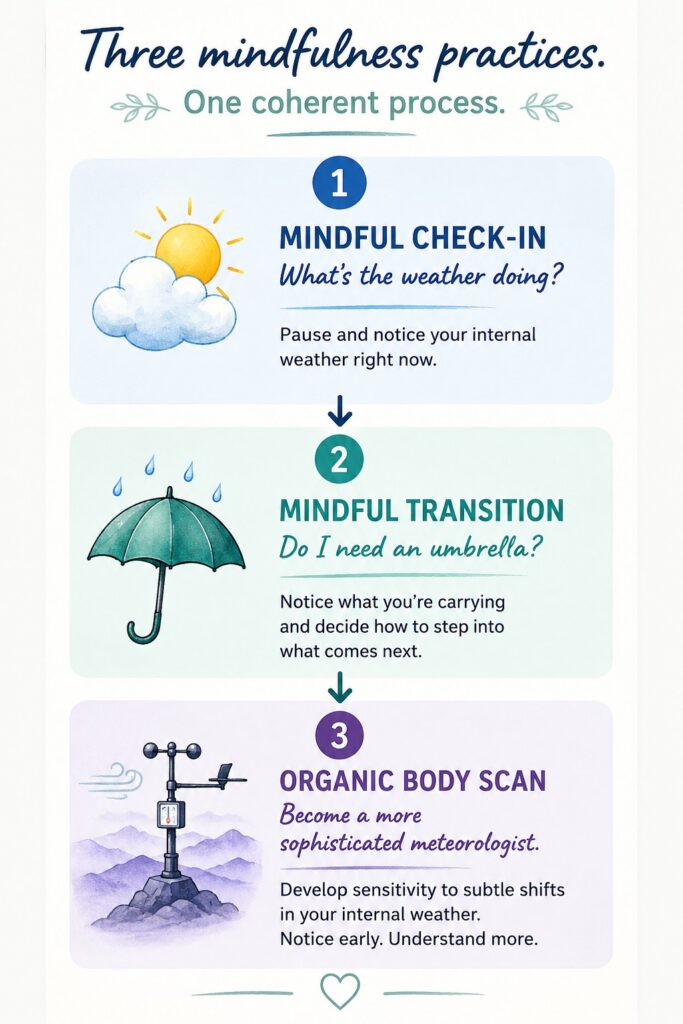 Mindful Representations infographic showing the Mindful Check-In, Mindful Transition and Organic Body Scan using an internal weather metaphor.